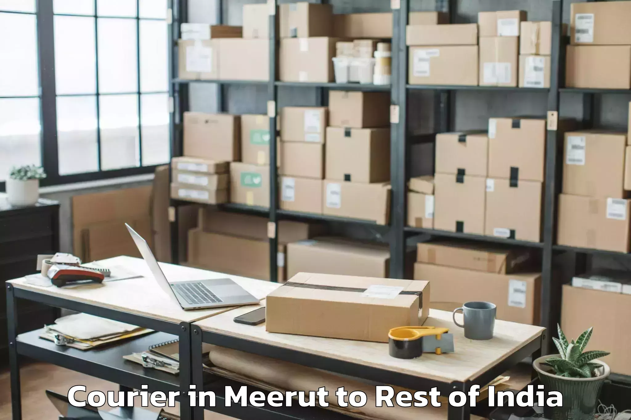 Top Meerut to Rongra Courier Available